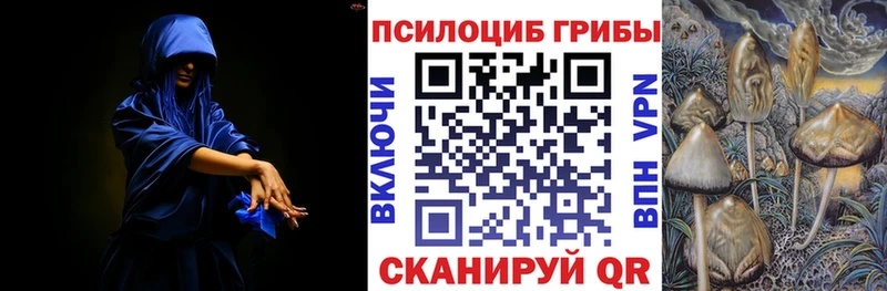 Псилоцибиновые грибы GOLDEN TEACHER  mega ССЫЛКА  Чадан  где найти наркотики 